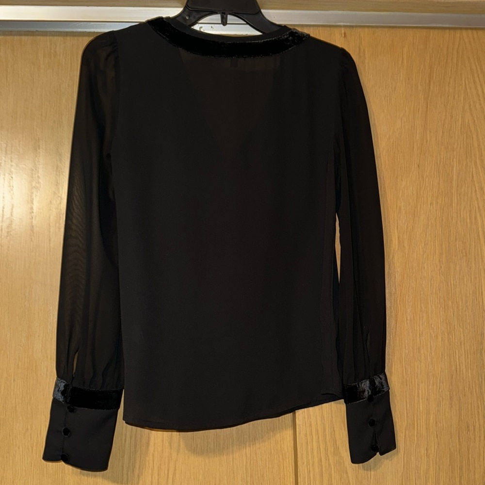 Velour Trim Sheer Long Sleeve Blouse - Picture 9 of 11